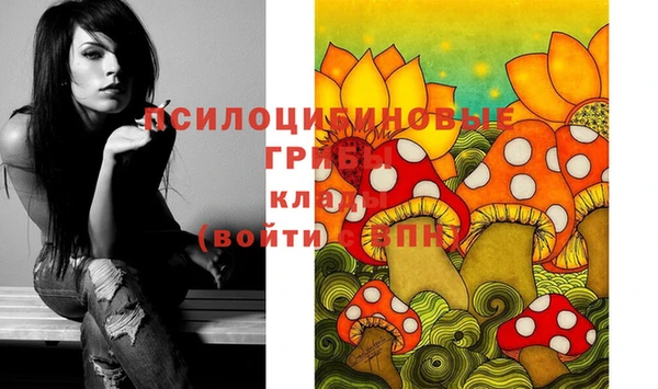 индика Лагань