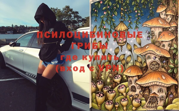 индика Лагань