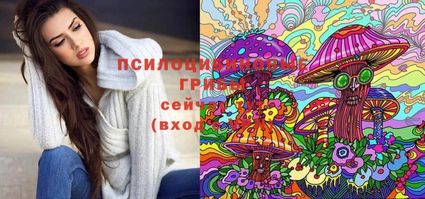 индика Лагань