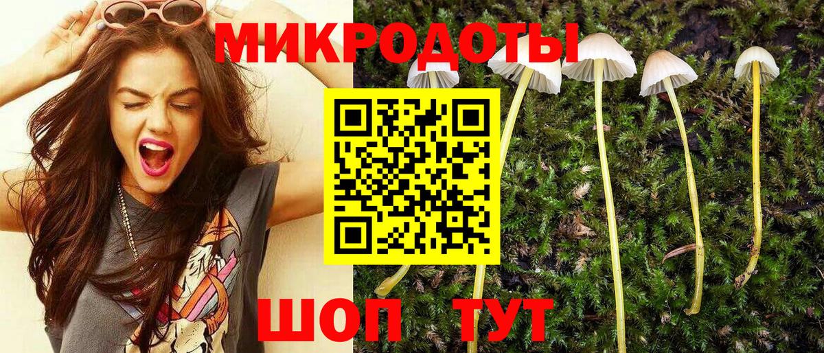 Строитель  Псилоцибиновые грибы Magic Shrooms  Псилоцибиновые грибы Psilocybe  Вход с VPN 